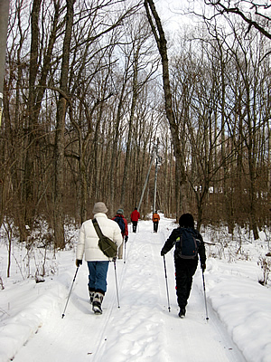 2月4日定例ウォーキング