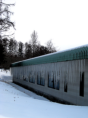 2月4日定例ウォーキング