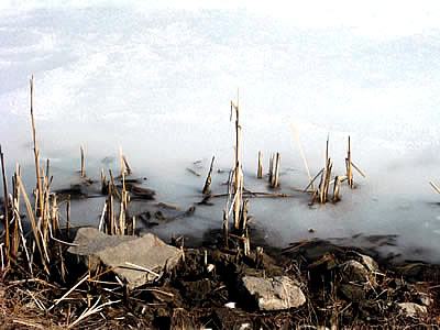 3月3日定例ウォーキング