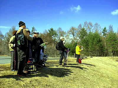 3月3日定例ウォーキング