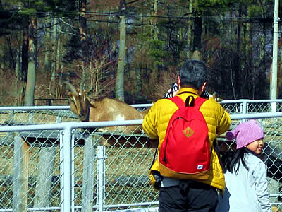 3月3日定例ウォーキング