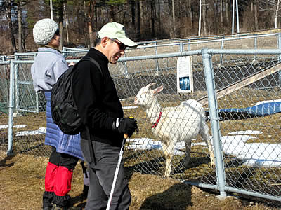 3月3日定例ウォーキング
