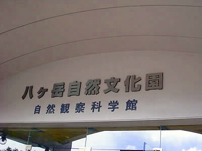 4月7日定例ウォーキング