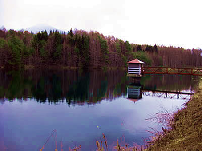 4月7日定例ウォーキング