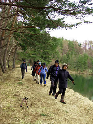 4月7日定例ウォーキング