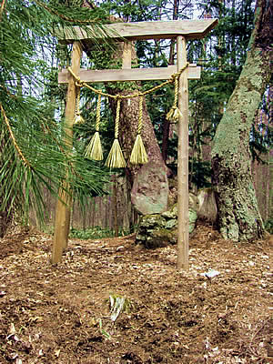 4月7日定例ウォーキング