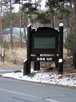 4月7日定例ウォーキング