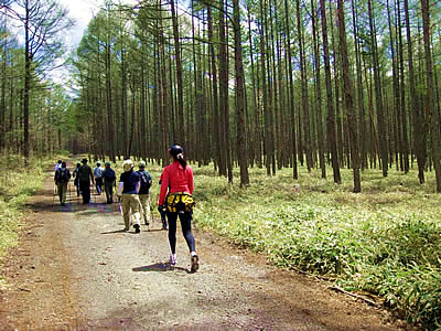 5月5日定例ウォーキング