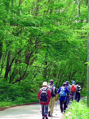 6月2日定例ウォーキング