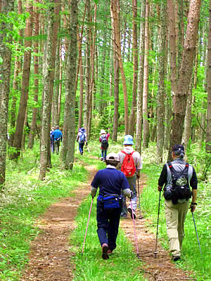 6月2日定例ウォーキング