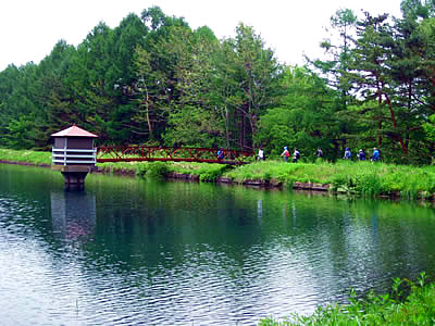 6月2日定例ウォーキング