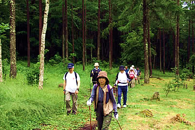 7月7日定例ウォーキング