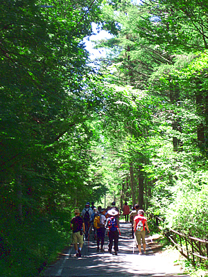 8月4日定例ウォーキング