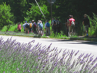8月4日定例ウォーキング