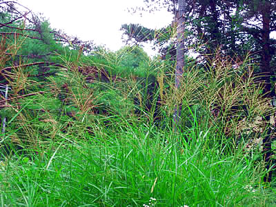 9月1日定例ウォーキング