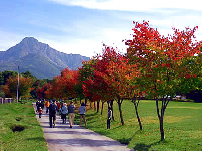 10月13日定例ウォーキング