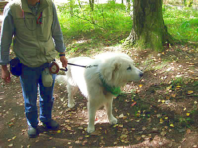 10月13日定例ウォーキング