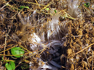 11月3日定例ウォーキング