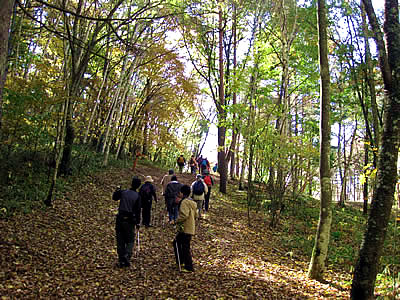 11月3日定例ウォーキング