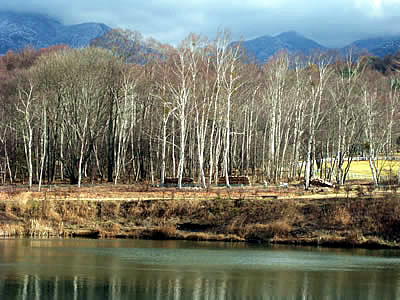 12月1日定例ウォーキング