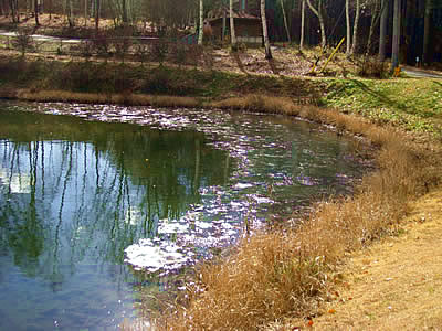 12月1日定例ウォーキング