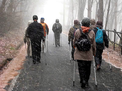 12月1日定例ウォーキング