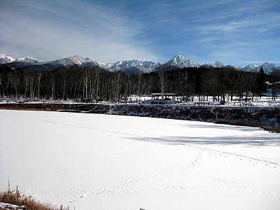 1月5日定例ウォーキング