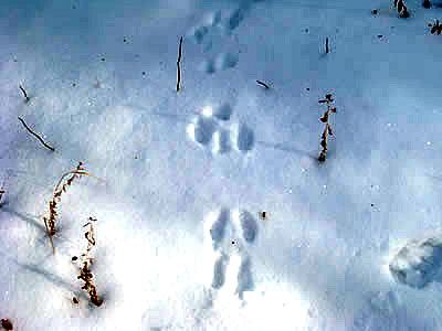 1月5日定例ウォーキング