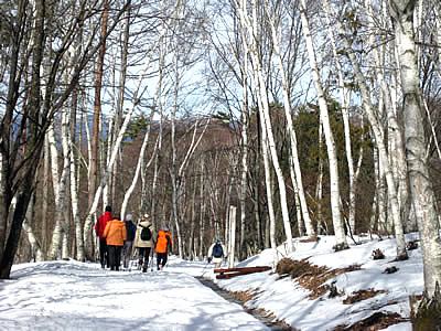1月5日定例ウォーキング