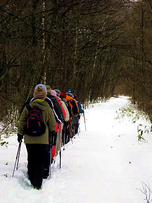 2月2日定例ウォーキング