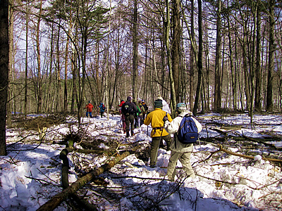 3月2日定例ウォーキング