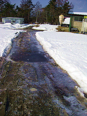 3月2日定例ウォーキング