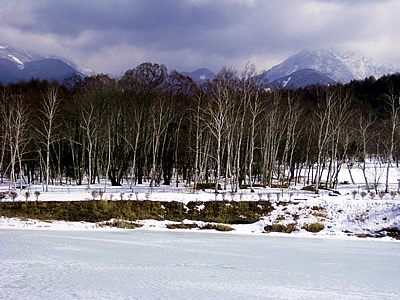 3月2日定例ウォーキング