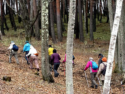 4月6日定例ウォーキング