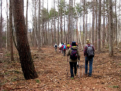 4月6日定例ウォーキング