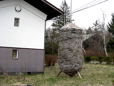 4月6日定例ウォーキング