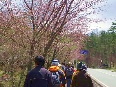 4月27日定例ウォーキング