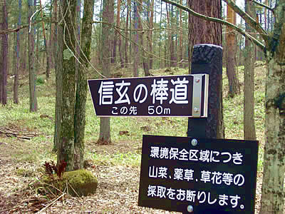 4月27日定例ウォーキング