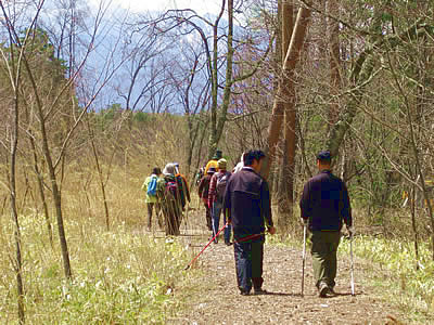4月27日定例ウォーキング