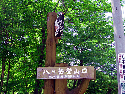 6月8日定例ウォーキング