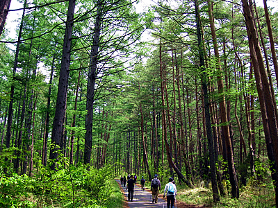 6月8日定例ウォーキング