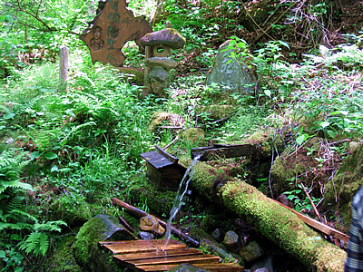 6月8日定例ウォーキング