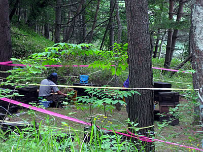 7月6日定例ウォーキング