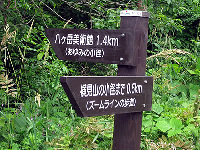 7月6日定例ウォーキング