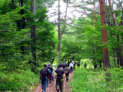 7月6日定例ウォーキング
