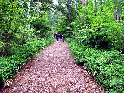 7月6日定例ウォーキング