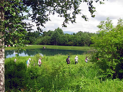 8月3日定例ウォーキング