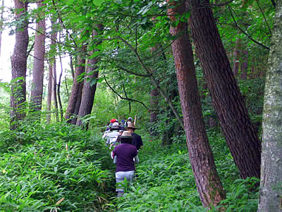 8月3日定例ウォーキング