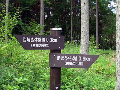 8月3日定例ウォーキング