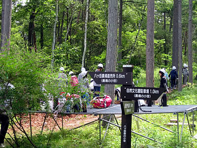 8月3日定例ウォーキング